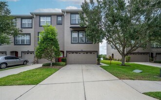 2425 Lexington Oak Dr in Brandon, FL - Building Photo