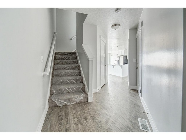 13079 Cannon View Dr in Riverton, UT - Building Photo - Building Photo