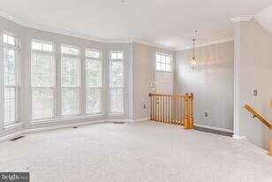 6237 Frosty Winter Ct in Centreville, VA - Building Photo