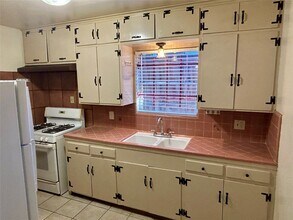 1411 Indiana St in Houston, TX - Building Photo - Building Photo