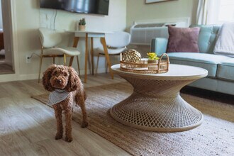 308 Lamont St in Johnson City, TN - Building Photo - Building Photo