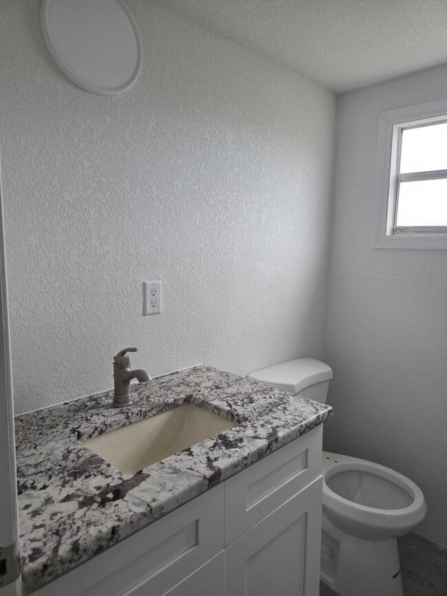 933 Chandrika Pl in Ruskin, FL - Building Photo - Building Photo