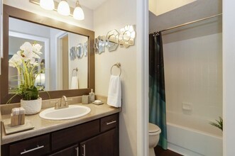 1007 S Mason Rd, Unit 2605 in Katy, TX - Building Photo - Building Photo