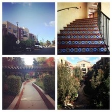 700 S Abel St, Unit 227 in Milpitas, CA - Foto de edificio - Building Photo