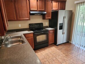 15924 Fishhawk Creek Ln in Fish Hawk, FL - Building Photo - Building Photo