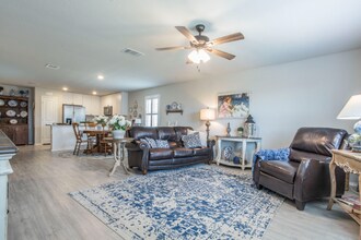 2527 Pechora Pipit in New Braunfels, TX - Foto de edificio - Building Photo