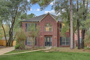 10 E Trillium Cir in Spring, TX - Building Photo
