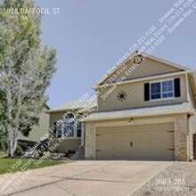 918 Daffodil St in Fountain, CO - Building Photo - Building Photo
