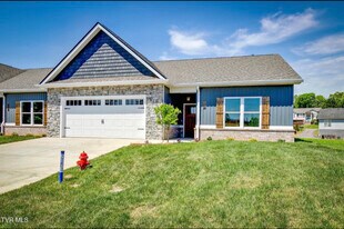 609 Bittersweet Trl in Jonesborough, TN - Building Photo