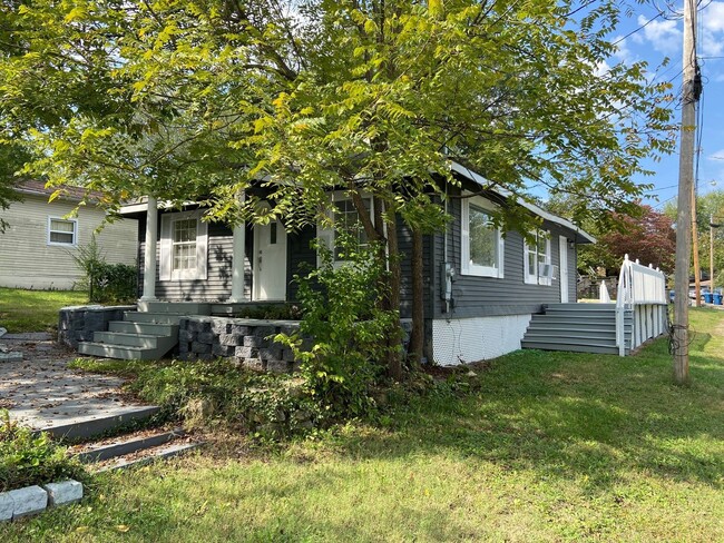 703 Brown St in Branson, MO - Building Photo - Building Photo