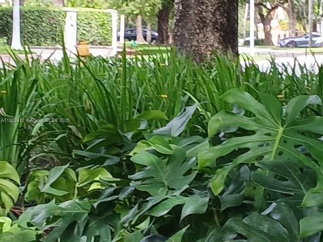 property at 2828 Segovia St