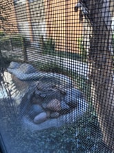 3776 Alabama St in San Diego, CA - Building Photo - Building Photo