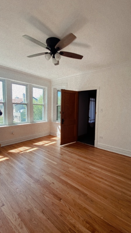 property at 4815 S Springfield Ave
