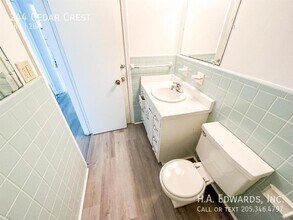 244 Cedar Crest in Tuscaloosa, AL - Building Photo - Building Photo