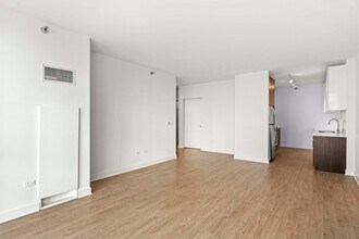 237 N Garland Ct in Chicago, IL - Building Photo - Building Photo