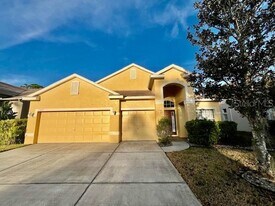 11453 Belle Haven Dr in New Port Richey, FL - Building Photo