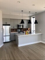 1050 W Cornelia Ave in Chicago, IL - Building Photo