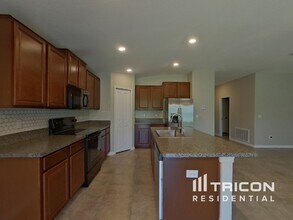 17224 White Mangrove Dr in Wimauma, FL - Building Photo - Building Photo