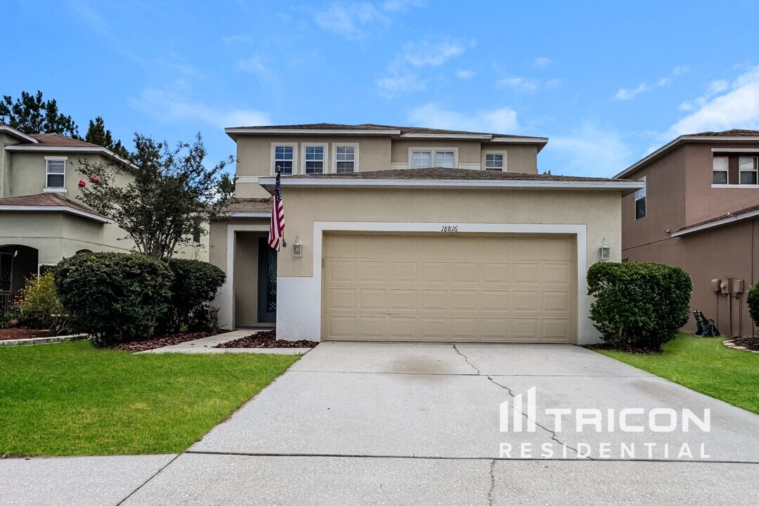 18816 Litzau Ln in Land O Lakes, FL - Building Photo