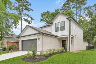 3346 Torrey Pines Dr in Montgomery, TX - Building Photo