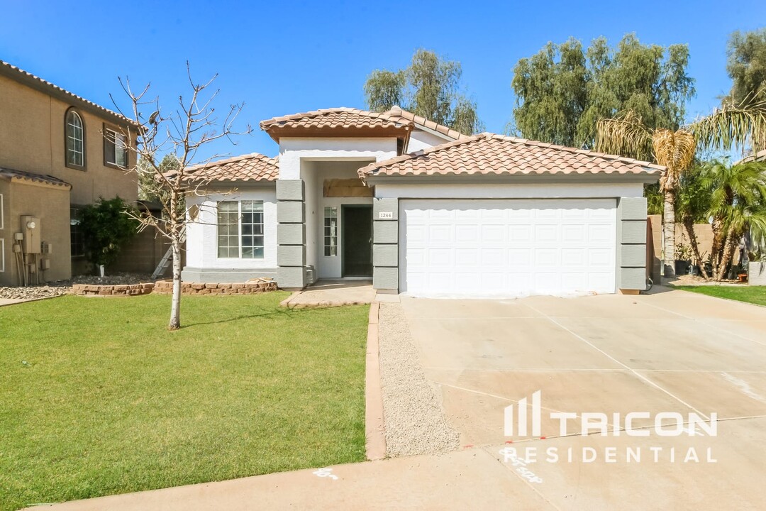 1244 S Portland Ave in Gilbert, AZ - Building Photo