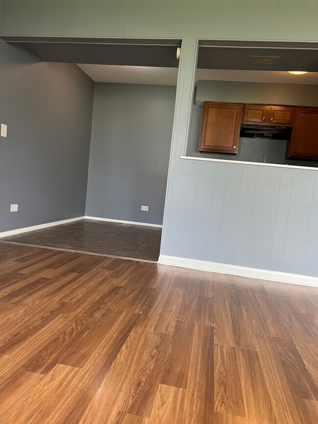 185 Rita Ct, Unit B in Bartlett, IL - Foto de edificio - Building Photo