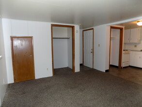 1225 4 1/2 St NW, Unit 6 in Rochester, MN - Building Photo - Building Photo