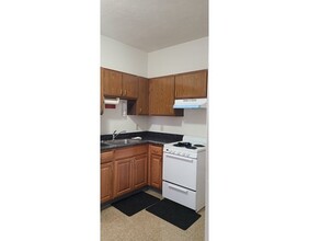 97 Shurtleff St-Unit -1 in Chelsea, MA - Building Photo - Building Photo