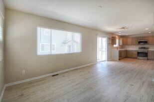 11578 Black Maple Ln in Colorado Springs, CO - Building Photo