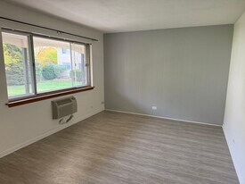 235 E Palatine Rd, Unit 1 in Palatine, IL - Building Photo