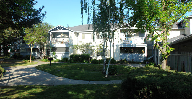 Pacheco Adobe in Martinez, CA - Building Photo - Building Photo