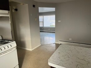 13940 S Edbrooke Ave in Riverdale, IL - Building Photo - Building Photo