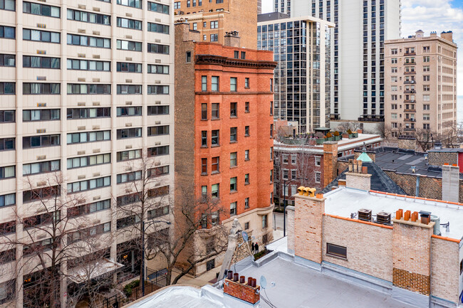 1210 N Astor St in Chicago, IL - Building Photo - Building Photo