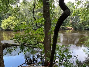 48 River Ave in Newton, MA - Building Photo - Building Photo