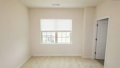 313 Annandale Dr in Fort Mill, SC - Building Photo - Building Photo