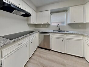 16515 Cairngorm Dr in Houston, TX - Building Photo - Building Photo