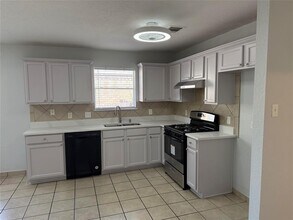 15220 Drusilla's Dr in Pflugerville, TX - Building Photo - Building Photo