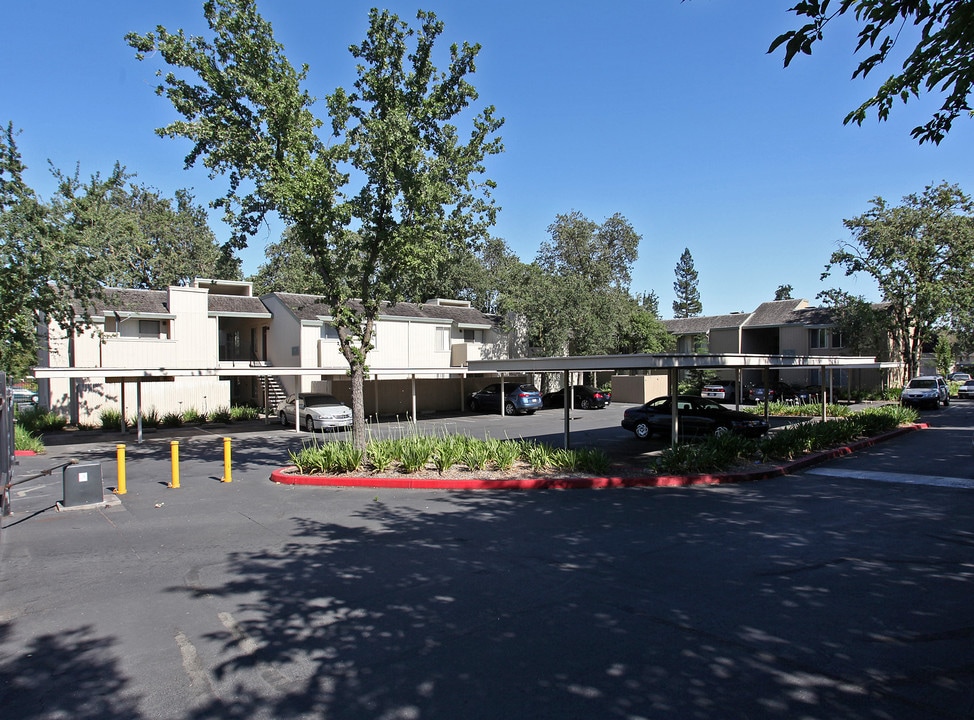 Willow Grove Apartments in Sacramento, CA - Building Photo