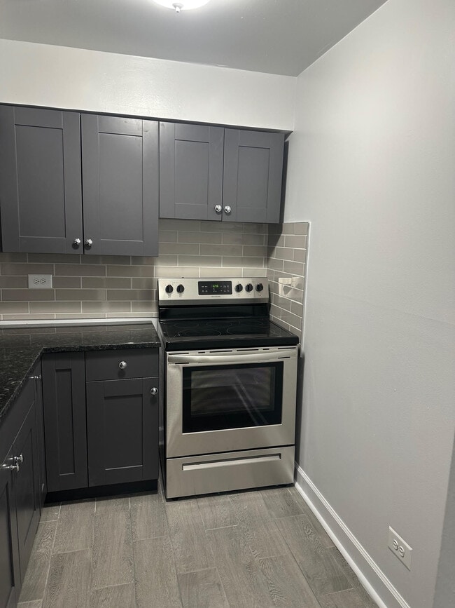 1400 Carol St, Unit TWO BEDS in Park Ridge, IL - Building Photo - Building Photo
