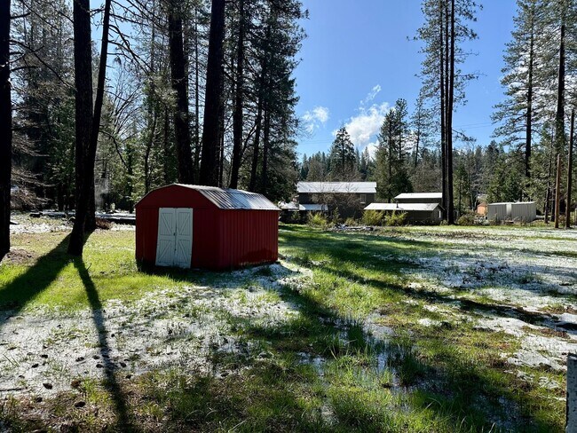 13215 N Meadow View Dr in Grass Valley, CA - Building Photo - Building Photo