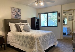 1111 E University Dr in Tempe, AZ - Building Photo - Building Photo