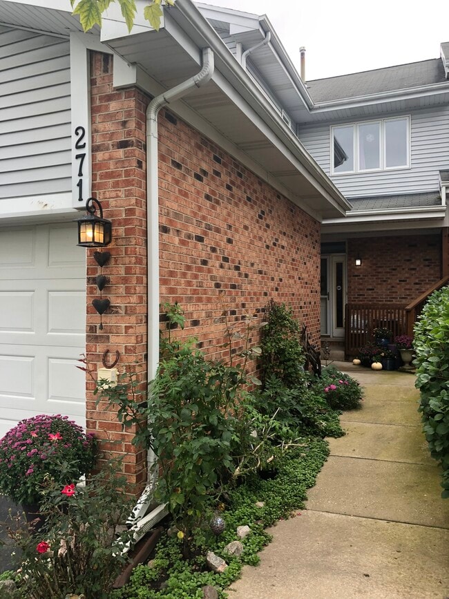 271 Charlotte Ct in Cary, IL - Building Photo - Building Photo