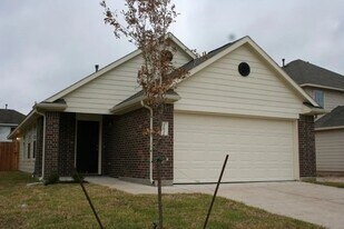 2622 Needles Throw Ln in Houston, TX - Building Photo