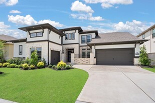 21319 Blue Wood Aster Ct