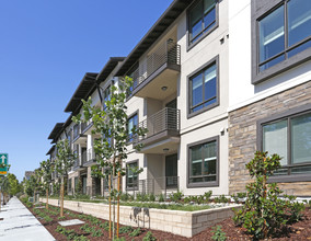 Anton 1101 Apartments in Sunnyvale, CA - Foto de edificio - Building Photo