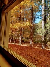 55 Candytuff Ln in Durham, NC - Building Photo - Building Photo