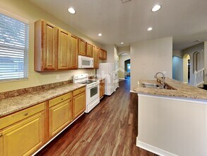 3124 Shady Lily Ln in Land O Lakes, FL - Building Photo - Building Photo