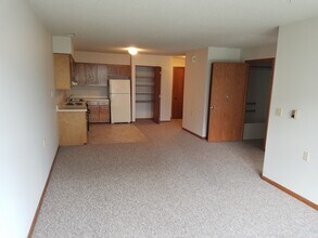 319 E Washington St, Unit 217 in Iowa City, IA - Foto de edificio - Building Photo