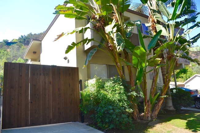 11012 Fruitland Dr in Studio City, CA - Building Photo - Building Photo