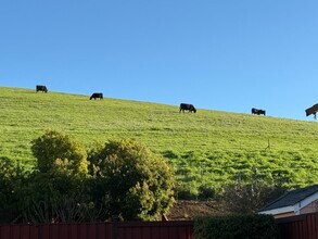 2033 Silvercrest Dr in Fairfield, CA - Building Photo - Building Photo